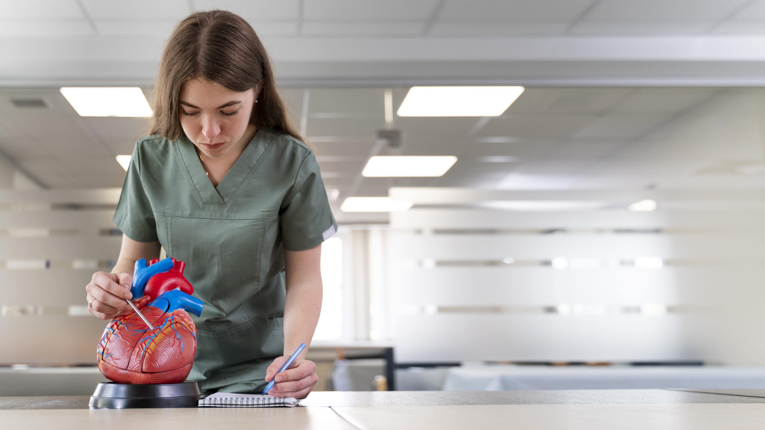 A female student in green scrubs is studying a human heart model.